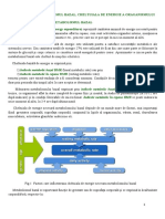 Biochimie, Metabolismul Bazal, Cheltuiala de Energie a Organismului