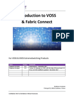 Intro To VOSS & Fabric v0.2