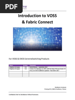 Intro To VOSS & Fabric v0.2