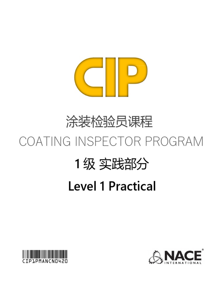 CIP1 实践部分| PDF