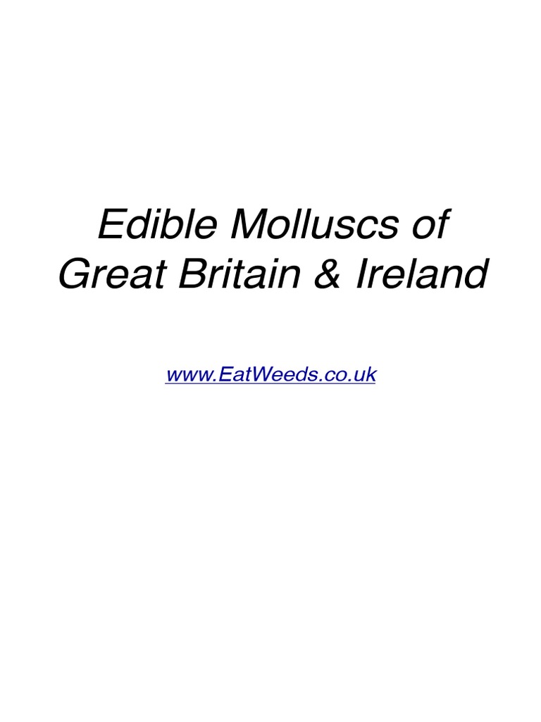 Edible Molluscs The Ultimate Word Search Challenge - 2pbydou