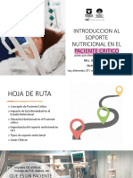 Introduccion Al Soporte Nutricional en El Paciente Critico