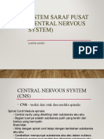 AD 8 The Central Nervous System