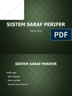 AD 9 Sistem Saraf Tepi