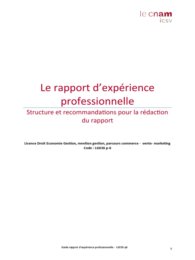 Rapport Activité LG036-p6 | PDF | Linguistique