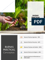 Clase 5. Buenas Practicas Agricolas (Bpa)