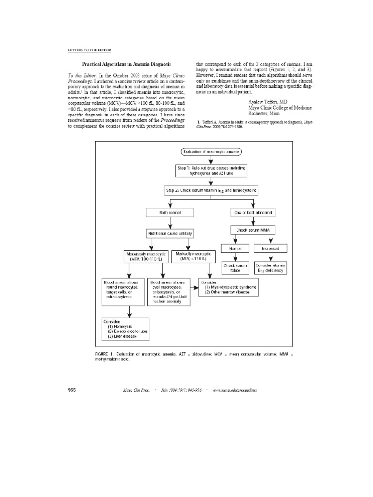2004 Useful Flow Charts For Anemia DX PDF