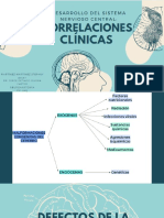 SNC Correlaciones Clã - Nicas