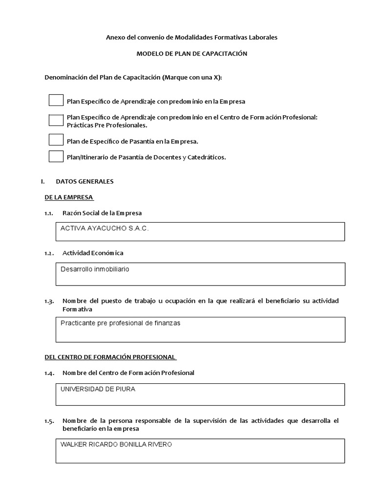 Plan de Capacitación para Practicantes Financieros | PDF | Business ...