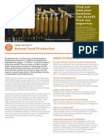 Animal Feed Production