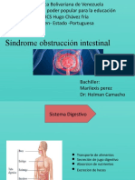 Síndrome de Obstrucción Intestinal - Marilexis Perez - UCS MIC, Turén Estado Portuguesa