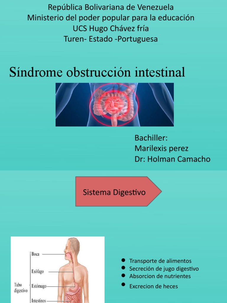 Síndrome de Obstrucción Intestinal - Marilexis Perez - UCS MIC, Turén ...