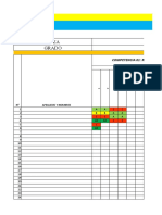 Registro Literal-Progreso Anual