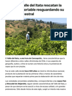 Vinos Del Valle Del Itata Rescatan La Calidad Exportable Resguardando Su Esencia Ancestral