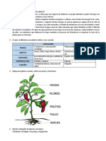 BIOLOGIA Primer Trimestre