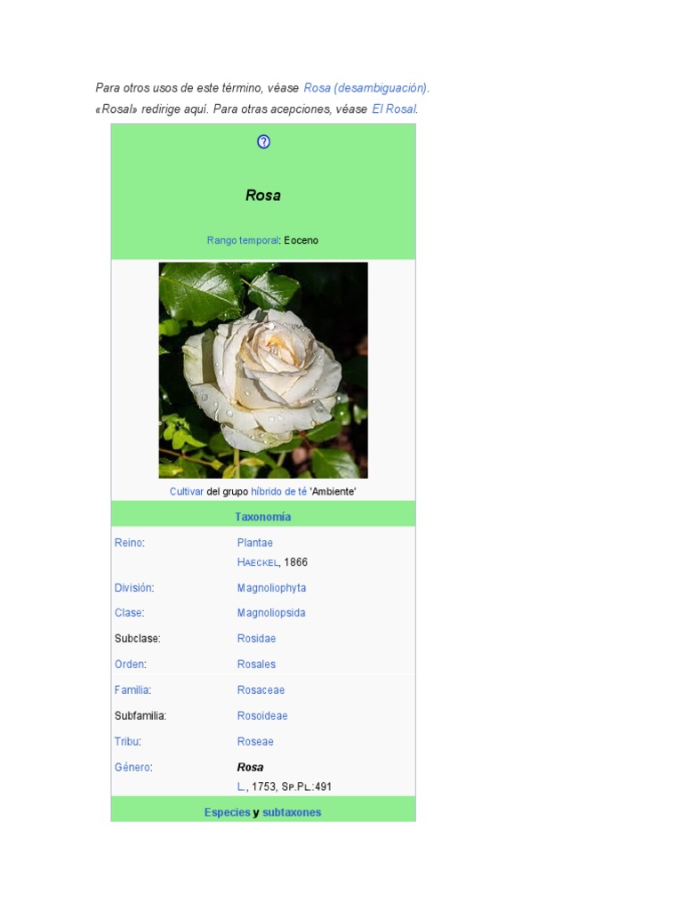 Rosa | PDF | Rosa | Plantas