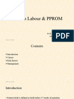 Preterm Labour and PPROM