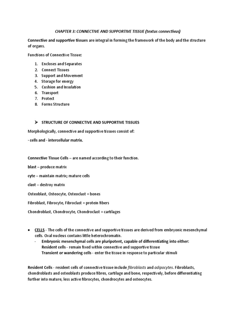 Vet Histo Notes Chap 3 | PDF | Bone | Osteoblast