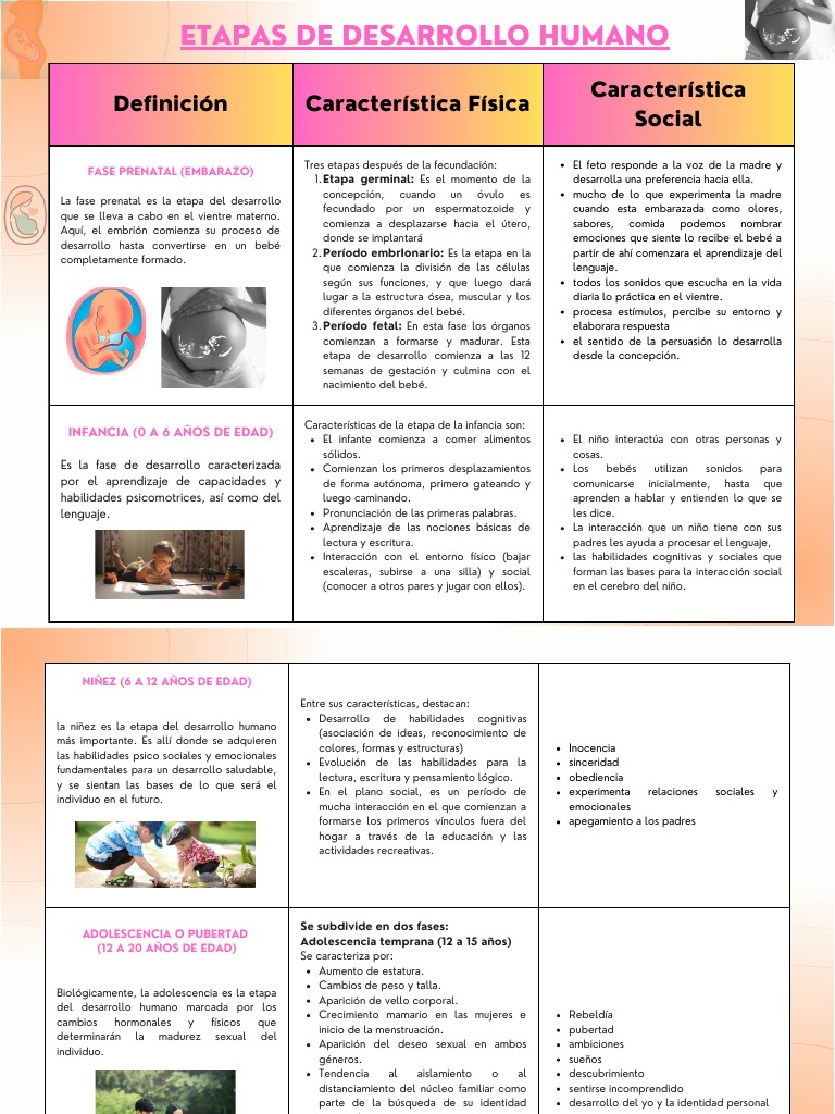 Etapas Del Desarrollo Humano | PDF | Adultos | El embarazo