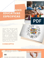 Necesidades Educativas Especificas