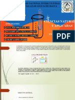 Calorimetria Fisica 2 GRUPAL