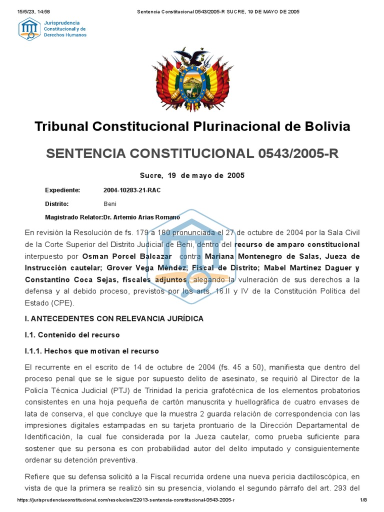 2.-Sentencia Constitucional 0543 - 2005-R SUCRE, 19 DE MAYO DE 2005