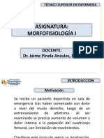 Morfofisiologia I