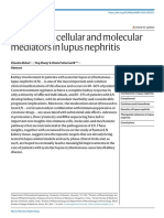 Pathogenic Cellular and Molecular Mediators in Lupus Nephritis