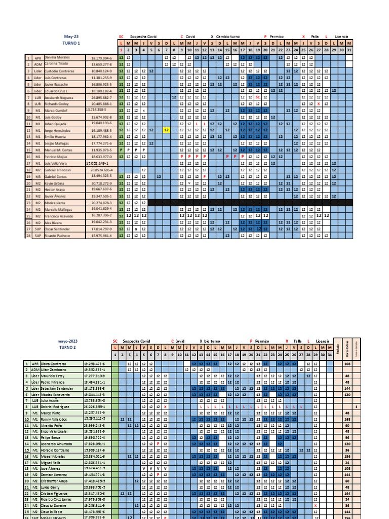 Planilla de Asistencia Tipo | PDF