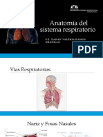 Anatomia Aparato Respiratorio