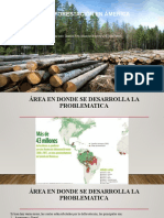 Power La Deforestacion en America