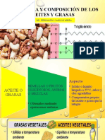 Estructura y Composición de Los Aceites y Grasas