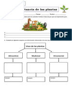 Guía Importancia de Las Plantas 3° Basico