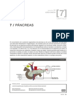 Sec III-Cap 7 P Ncreas