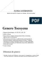 Tocoyena Costanensis