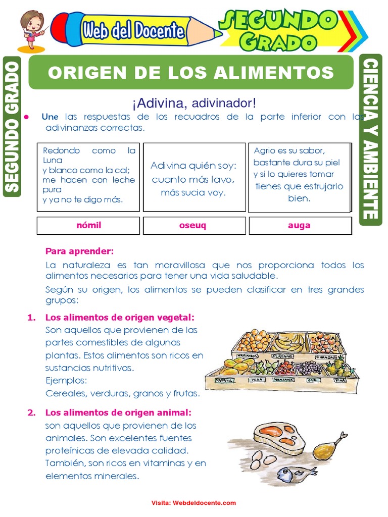 alimentos-para-segundo-grado-de-primaria-pdf-alimentos-nutrientes