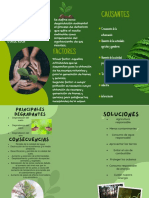 Folleto Brochure Hotel Vacacional Naturaleza Colorido