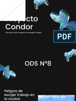 Proyecto Condor
