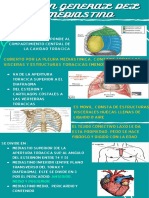 A2 INFOGRAFIAS Mediastino.