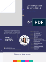 Dirección General de Proyectos 1-2: Centrum - Pucp.edu - Pe