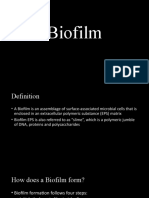 Biofilm Report