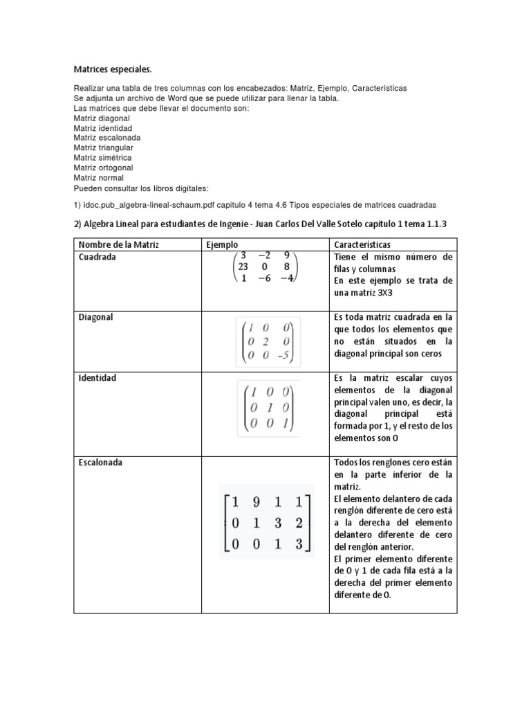 2.1 Matrices Especiales | PDF | Matriz (Matemáticas) | Física Matemática