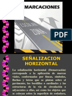 SeñalizacionHorizontal (Demarcacion) - Particularidades