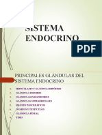 Sistema Endocrino 2