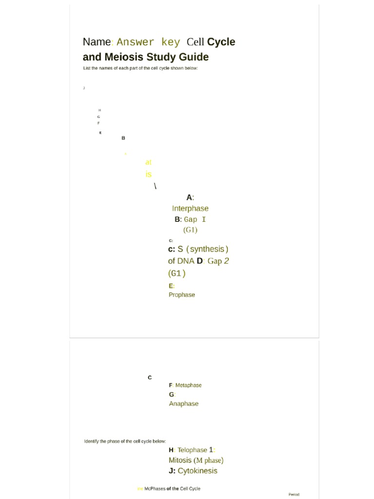Cell cycle study guide pdf