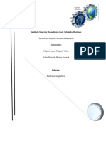 Informe Particulas Magneticas... - 3