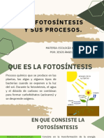 FOTOSISINTESIS