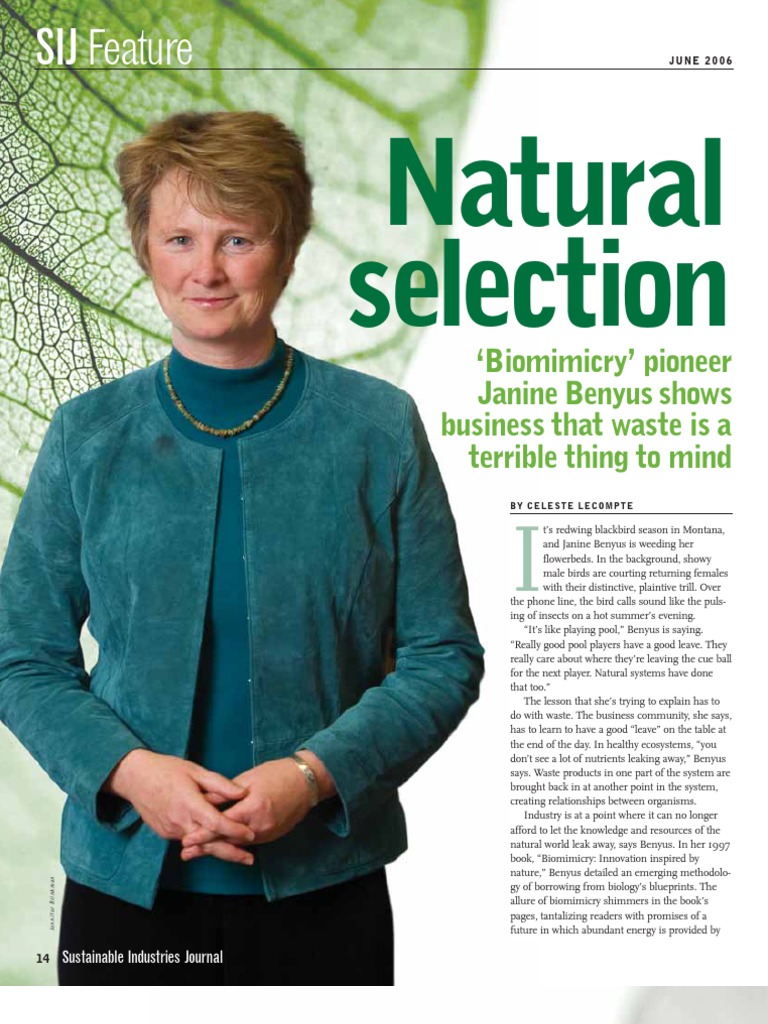 Natural Selection June.2006 PDF Plywood Invention