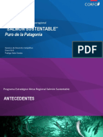 Programa Estratégico Mesoregional. Salmonicultura Sustentable