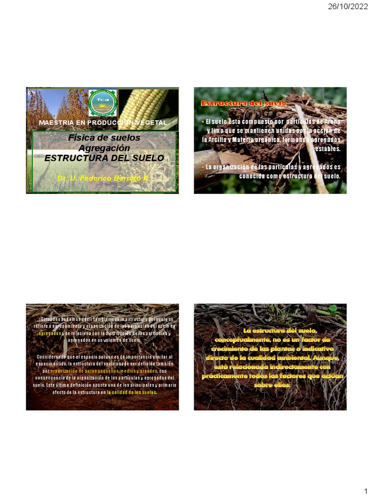 3 Estructura Del Suelo | PDF